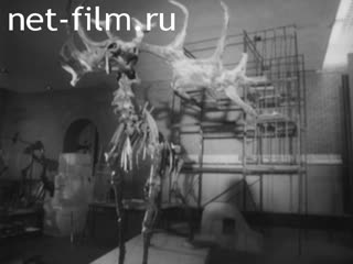 Кинохроника Палеонтологический музей. (1986)