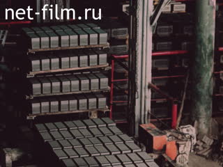 Newsreel Daily News / A Chronicle of the day №22-1988 The secret of the company. Dialogues rural shareholders. The first sketches of biography. (1988)