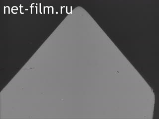 Newsreel Daily News / A Chronicle of the day №11-1980 (1980)