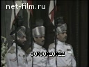 Кадр видео