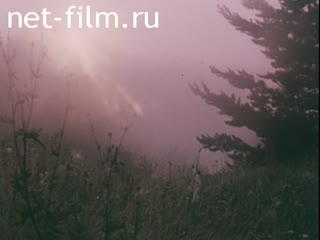 Кинохроника Мультработа: явления природы. (1988)