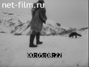 Кадр видео