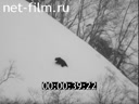 Кадр видео