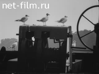 Новости Зарубежные киносюжеты №3413 (1973)