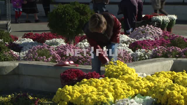 Титульная картинка