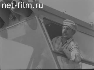 Newsreel Daily News / A Chronicle of the day №36-1981 (1981)