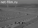 Footage frame