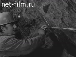 Newsreel Daily News / A Chronicle of the day №7-1982 (1982)