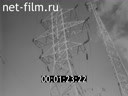 Новости дня / хроника наших дней №32-1982 В братской семье народов. Продовольственная программа-дело всенародное. Кинорепортаж