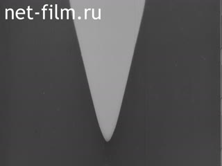 Newsreel Daily News / A Chronicle of the day №40-1982 (1982)