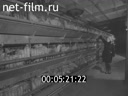 Footage frame