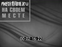 Новости дня / хроника наших дней №21-1985 В интересах мира и безопасности. Большая семья. Призвание. Долг памяти