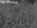 Новости дня / хроника наших дней №25-1985 С заботой о будущем. Это важное чувство хозяина. Литовские швейники - фестивалю. Я снова вижу