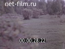 Footage frame