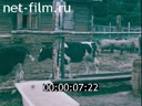 Footage frame