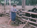 Кадр видео