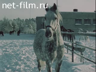 Кинохроника Материалы журнала "По Советскому Союзу" № 206. (1985)