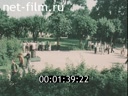 Footage frame