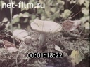 Footage frame