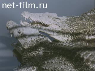 Кинохроника Крокодилы. (1975-1985)