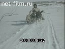 Кадр видео