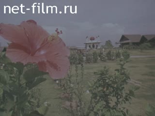Footage Philippines. (1975-1985)
