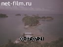 Кадр видео