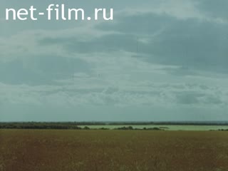 Footage Crops. (1975-1985)