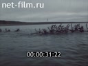 Кадр видео