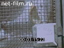Footage frame