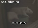 Footage frame