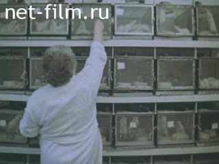 Кинохроника Материалы по фильму "Сколько мне осталось жить?". (1980-1989)