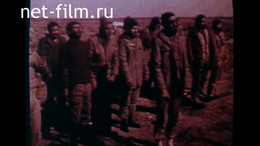 News Foreign newsreels №6575 (1981)