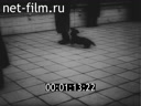 Кадр видео