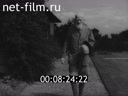 Кадр видео