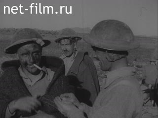 Newsreel British Movietone News №23265 (1944)