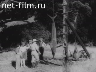 Newsreel Adventures of the Newsreel Cameraman №6519 (1930)
