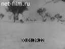 Footage frame