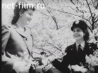 Киножурнал Новости Юнайтед №24814 (1944)