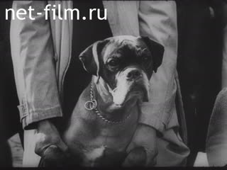 Киножурнал Новости Юнайтед №1048 (1945)