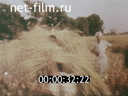 Footage frame