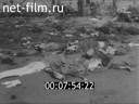 Footage frame