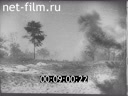 Footage frame