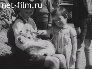 Newsreel British Paramount News №25757 (1944)