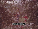 Footage frame