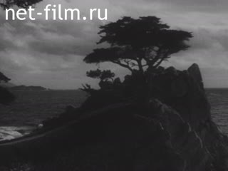 Киножурнал По разным местам №49 (1938)