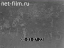 Новости дня / хроника наших дней №27-1984 С рабочим визитом. Набат памяти. Сеанс семейной кинохроники. Сабантуй!Сабантуй!