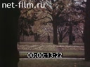 Footage frame
