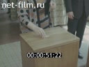 Кадр видео