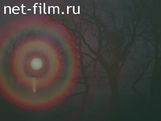 Кинохроника Природные пейзажи. (1985-1995)